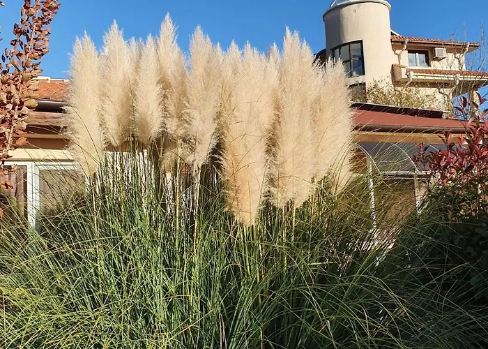 Otel Family Kedara 2*