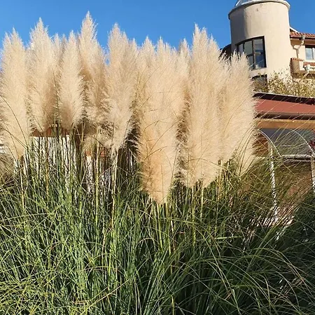 호텔 Family Kedara 2*